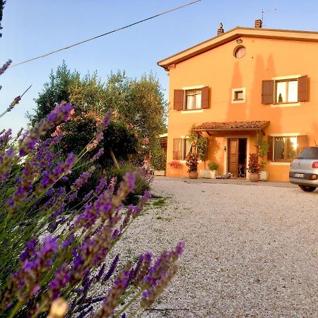 Locanda Della Lavanda 산클레멘테 외부 사진
