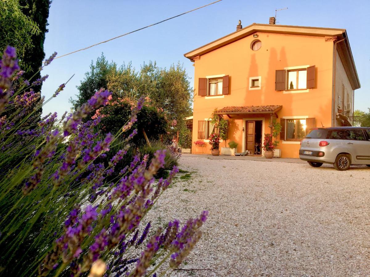 Locanda Della Lavanda 산클레멘테 외부 사진